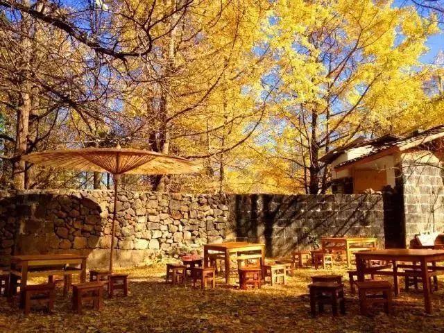 珍珠泉攻略旅游路线_珍珠泉旅游攻略_珍珠泉风景区游玩攻略