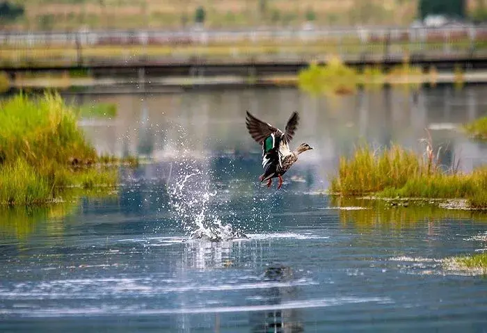 珍珠泉攻略旅游路线_珍珠泉风景区游玩攻略_珍珠泉旅游攻略