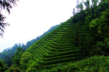 璧山青龙湖旅游攻略_璧山青龙湖公园好耍不_璧山青龙湖一日游