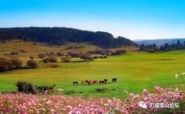 武隆天坑地缝旅游攻略-武隆天坑地缝景点介绍