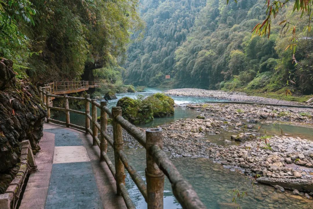 重庆四面山旅游攻略一日游_重庆四面山旅游攻略_攻略重庆旅游四面山景区
