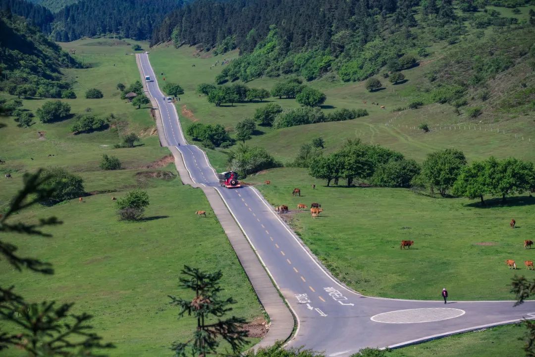 重庆四面山旅游攻略_重庆四面山旅游攻略一日游_攻略重庆旅游四面山景区