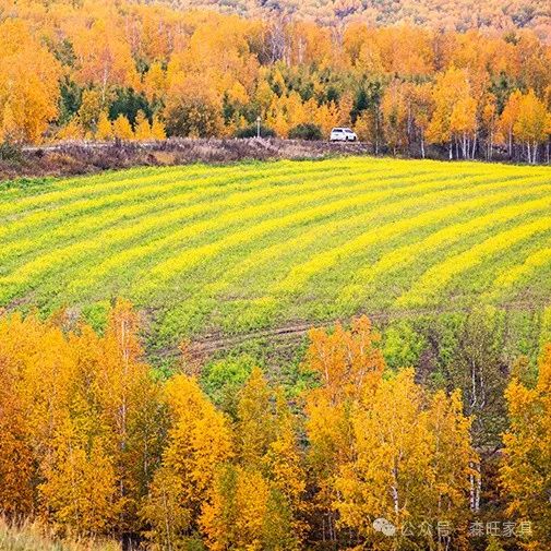 时尚办公家具图片_家具办公时尚图片素材_家具办公桌批发价格及图片