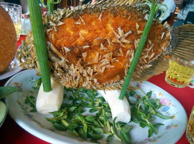 航拍越南胡志明市_越南胡志明好玩吗_越南胡志明市旅游攻略