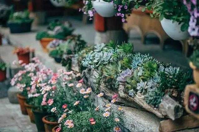 云南旅游一月份_云南十一月份旅游攻略_云南旅游几月是旺季