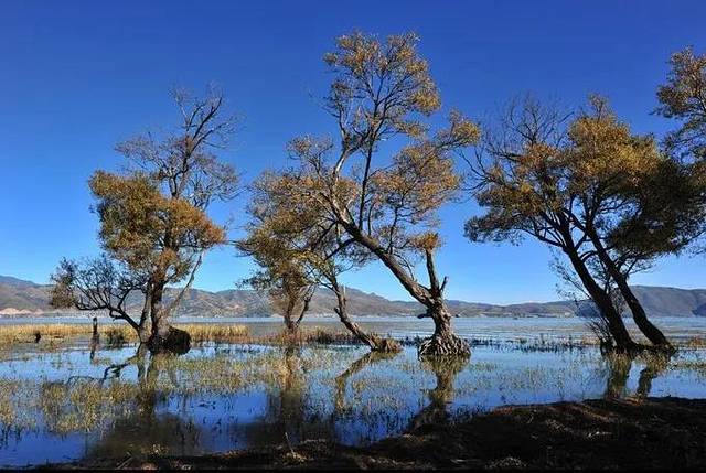 云南旅游几月是旺季_云南旅游一月份_云南十一月份旅游攻略
