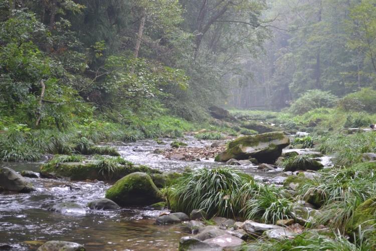张家界凤凰自由行攻略_张家界凤凰旅游攻略网站_张家界凤凰旅游游记攻略