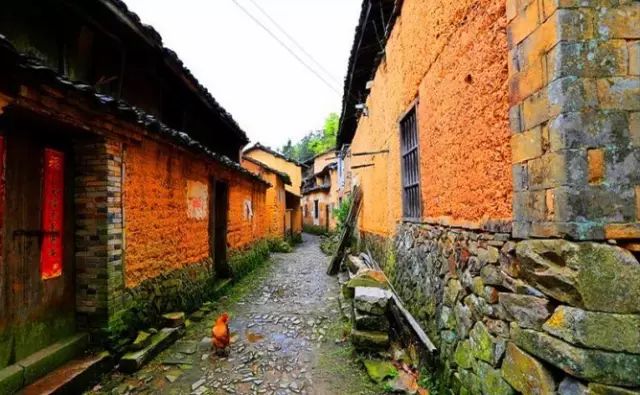 蛇蟠岛旅游攻略_蛇蟠岛上吃饭_蛇蟠岛旅行社