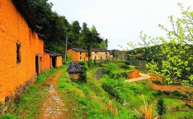 蛇蟠岛旅游攻略_蛇蟠岛上吃饭_蛇蟠岛旅行社