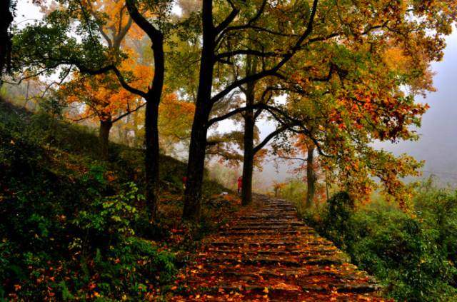 蛇蟠岛上吃饭_蛇蟠岛旅行社_蛇蟠岛旅游攻略