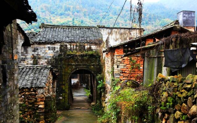 蛇蟠岛旅游攻略_蛇蟠岛旅行社_蛇蟠岛上吃饭