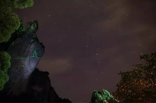 蛇蟠岛上吃饭_蛇蟠岛旅游攻略_蛇蟠岛旅行社