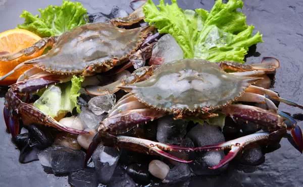 蛇蟠岛上吃饭_蛇蟠岛旅游攻略_蛇蟠岛旅行社