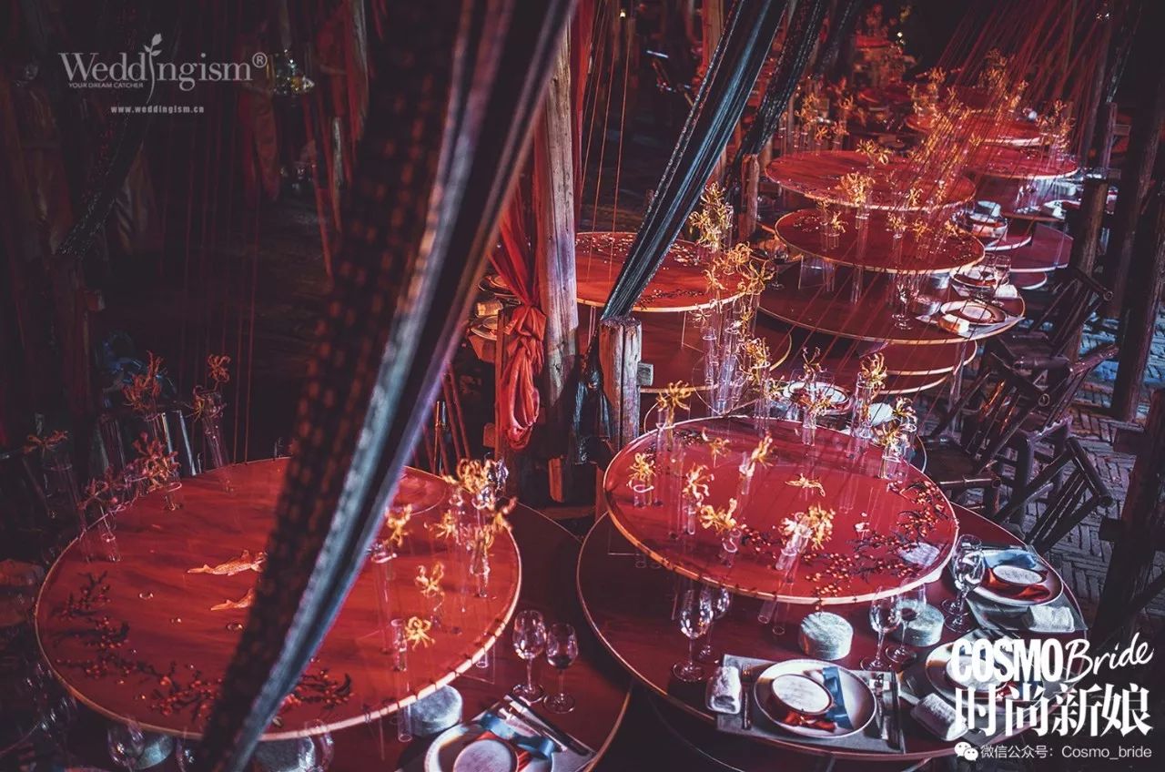 芭比童话摄影_童话芭比公主_芭比之时尚童话 电影