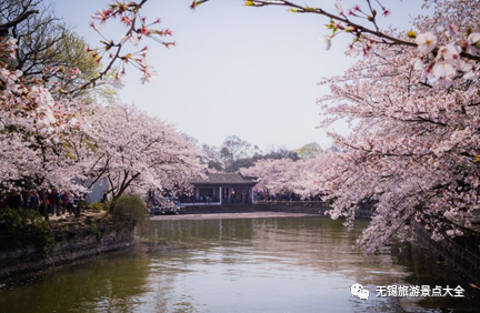 太湖鼋头渚怎么玩_太湖鼋头渚风景区_太湖鼋头渚旅游攻略