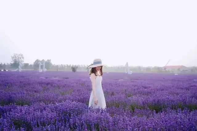 昌黎黄金海岸旅游攻略-昌黎黄金海岸旅游景点大全