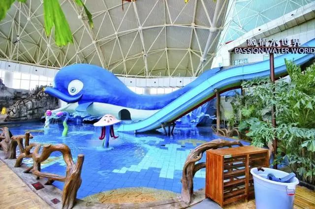 昌黎黄金海岸旅游攻略_昌黎黄金海岸旅游景点大全_昌黎黄金海岸一日游攻略