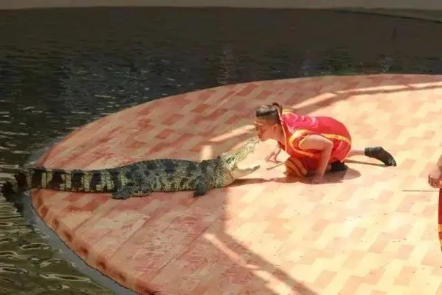 昌黎黄金海岸一日游攻略_昌黎黄金海岸旅游景点大全_昌黎黄金海岸旅游攻略