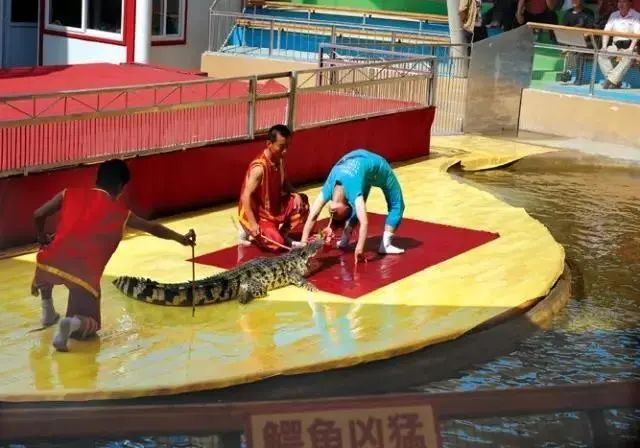 昌黎黄金海岸旅游景点大全_昌黎黄金海岸旅游攻略_昌黎黄金海岸一日游攻略