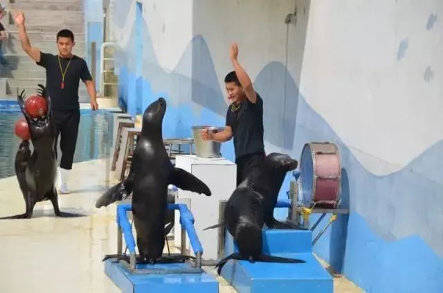 昌黎黄金海岸一日游攻略_昌黎黄金海岸旅游攻略_昌黎黄金海岸旅游景点大全