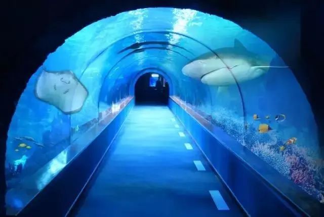 昌黎黄金海岸旅游攻略_昌黎黄金海岸旅游景点大全_昌黎黄金海岸一日游攻略