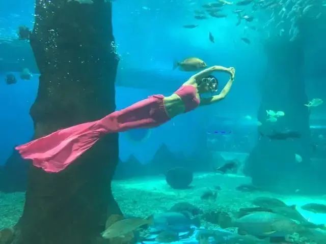 昌黎黄金海岸一日游攻略_昌黎黄金海岸旅游景点大全_昌黎黄金海岸旅游攻略