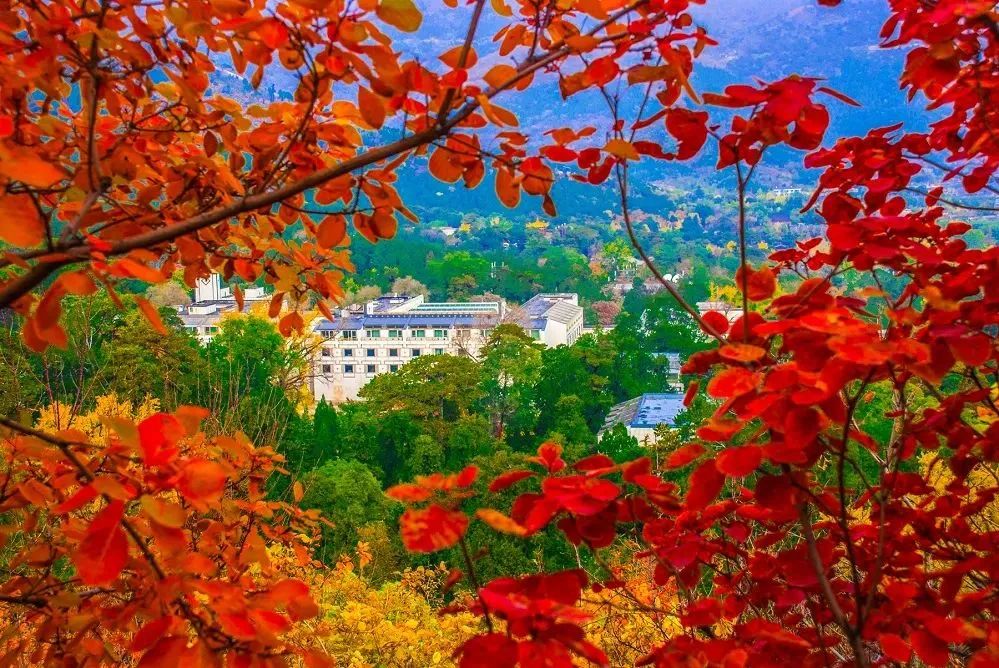 辽宁宁远古城地图_辽宁兴城 红海滩 宁远古城旅游攻略_辽宁兴城宁远古城