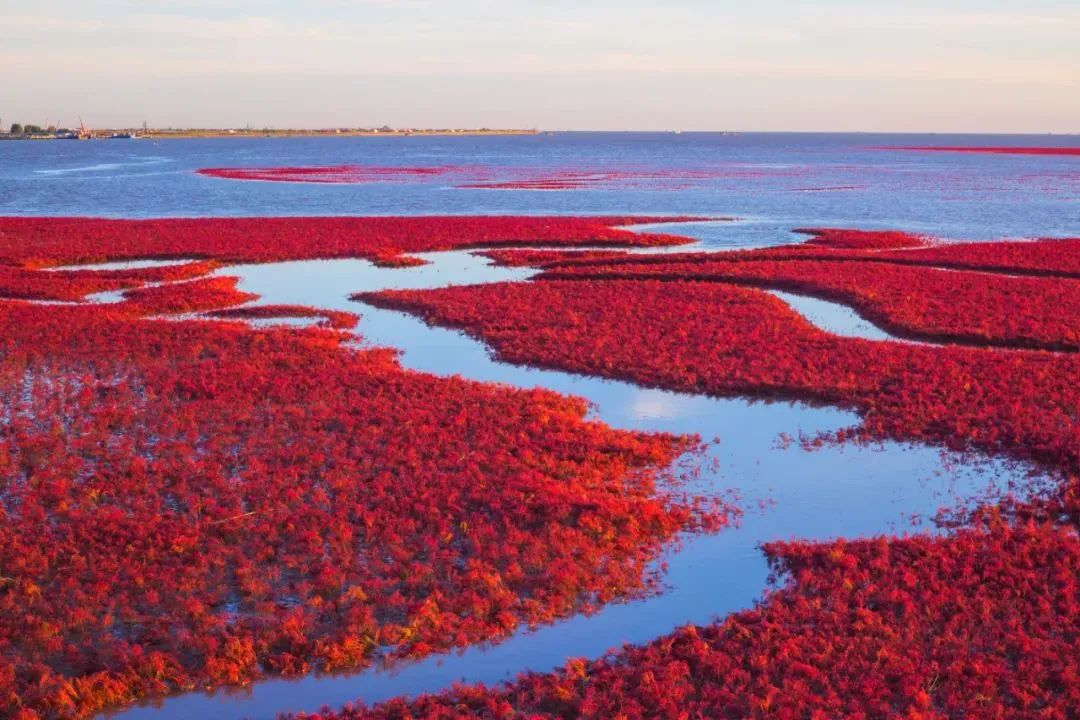 辽宁兴城 红海滩 宁远古城旅游攻略_辽宁兴城宁远古城_辽宁宁远古城地图