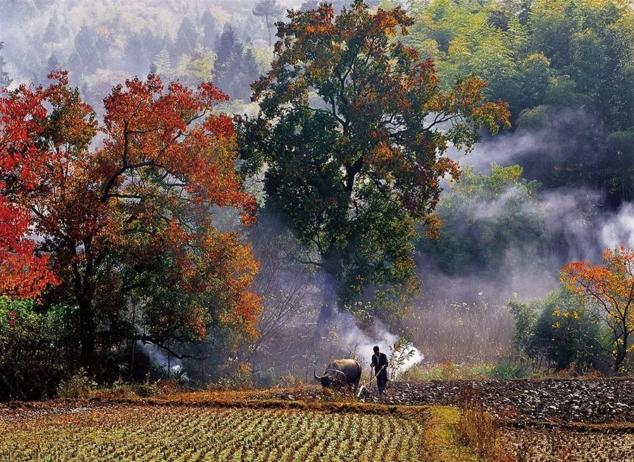 黄山最好的旅游月份_1月黄山旅游_黄山十一月旅游攻略