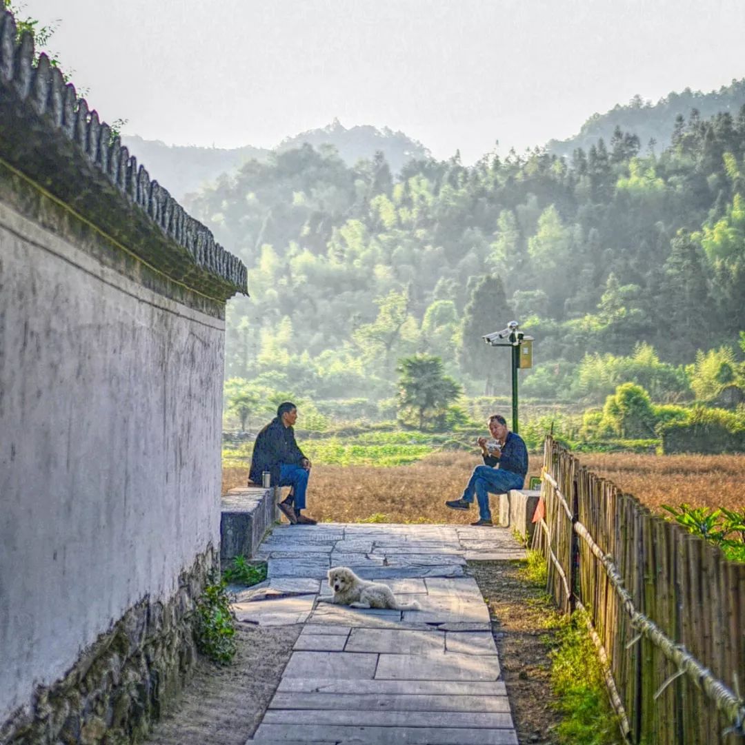 黄山十一月旅游攻略_1月黄山旅游_黄山最好的旅游月份