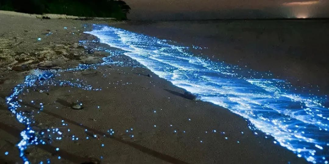 平潭塘屿岛旅游攻略_平潭塘屿岛住宿攻略_平潭塘屿岛在哪里