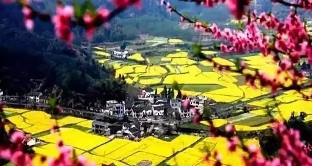 黄山十一月旅游攻略_1月黄山旅游_1月黄山旅游攻略