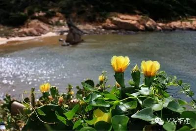 平潭塘屿岛自助游攻略_平潭塘屿岛住宿攻略_平潭塘屿岛旅游攻略