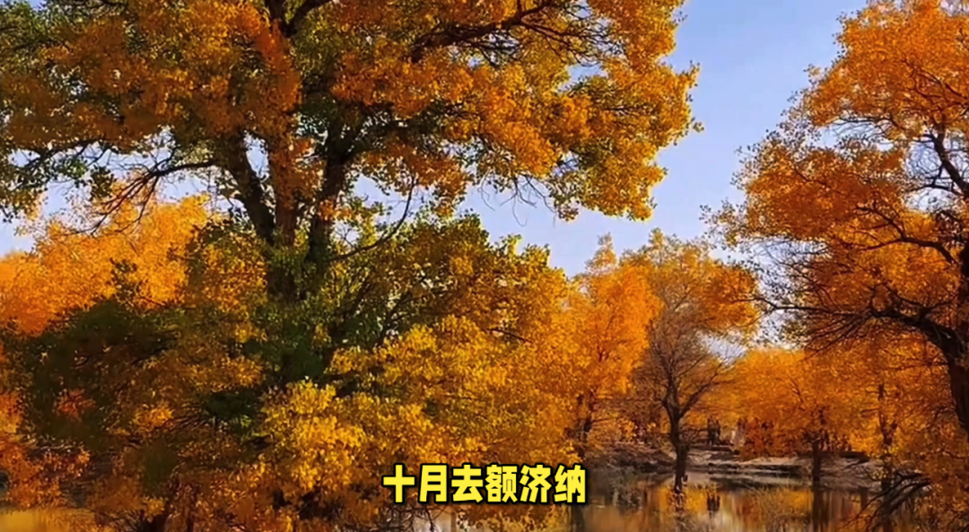 一月份旅游_一月旅游攻略_一月旅游最佳地点