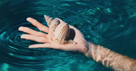 到济州岛旅游自由行攻略-济州岛5天自由行花费