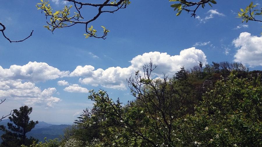 牛背梁旅游攻略-牛背梁两日游(图4) 牛背梁旅游攻略_牛背梁两日游_牛背梁门票多少钱