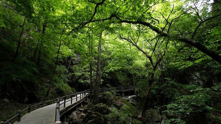 牛背梁旅游攻略-牛背梁两日游(图5) 牛背梁两日游_牛背梁旅游攻略_牛背梁门票多少钱
