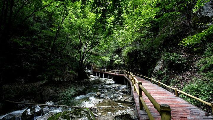 牛背梁旅游攻略-牛背梁两日游(图6) 牛背梁两日游_牛背梁旅游攻略_牛背梁门票多少钱