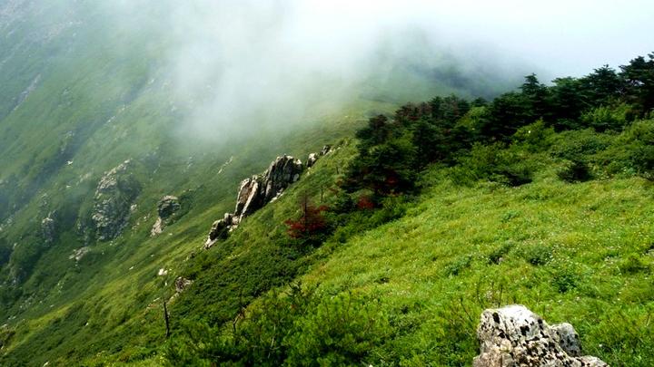 牛背梁旅游攻略-牛背梁两日游(图7) 牛背梁两日游_牛背梁门票多少钱_牛背梁旅游攻略