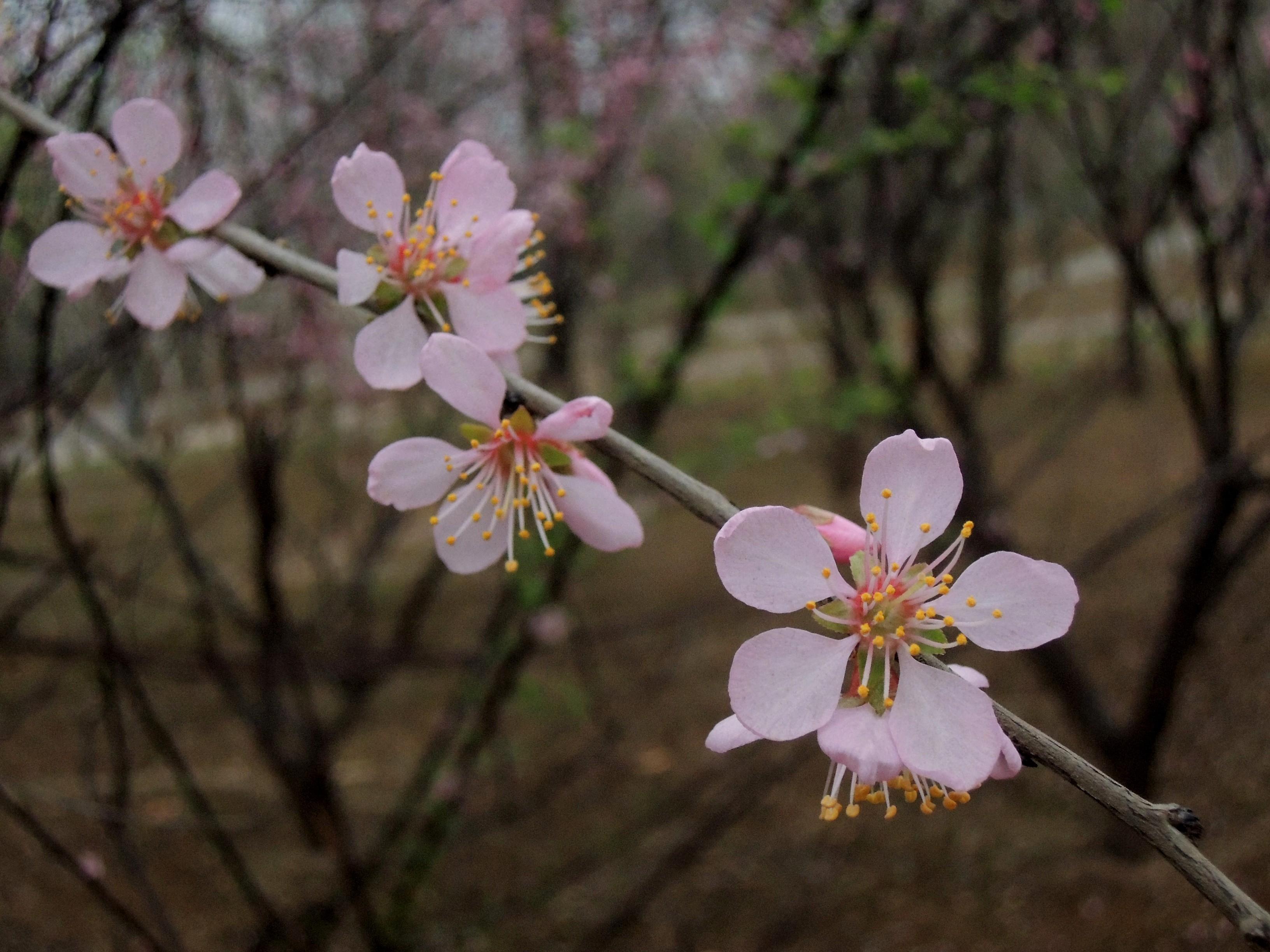 焦作时尚婚纱摄影-焦作mq婚纱