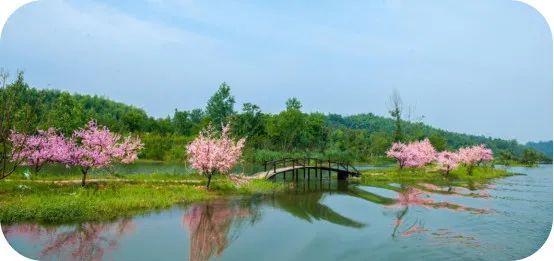 常德桃花源旅游攻略-湖南常德桃花源旅游攻略(图2) 常德桃花源旅游攻略_常德桃花源游玩攻略_湖南常德桃花源旅游攻略