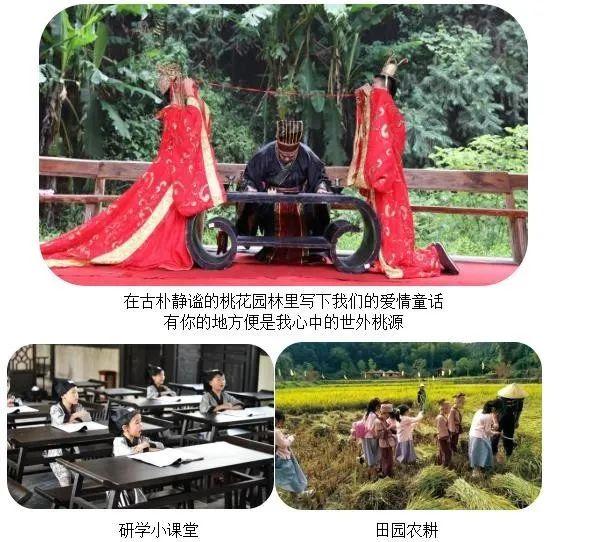 常德桃花源旅游攻略-湖南常德桃花源旅游攻略(图6) 湖南常德桃花源旅游攻略_常德桃花源游玩攻略_常德桃花源旅游攻略