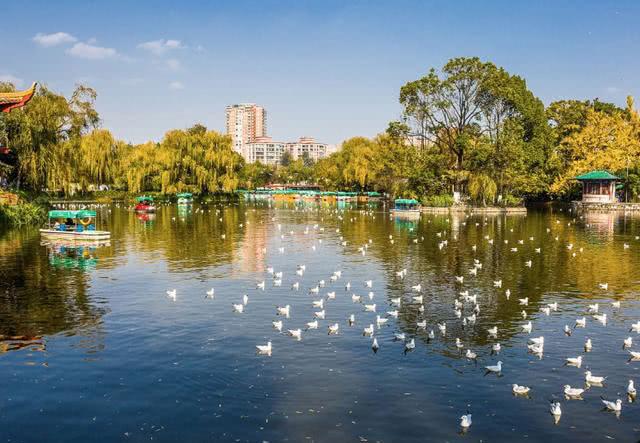 昆明冬季旅游攻略-昆明冬季旅游最佳去处(图4) 昆明冬季旅游最佳去处_昆明冬季旅游攻略_昆明冬季攻略旅游景点推荐