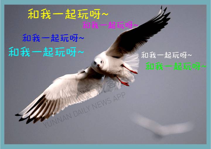 昆明冬季旅游攻略-昆明冬季旅游最佳去处