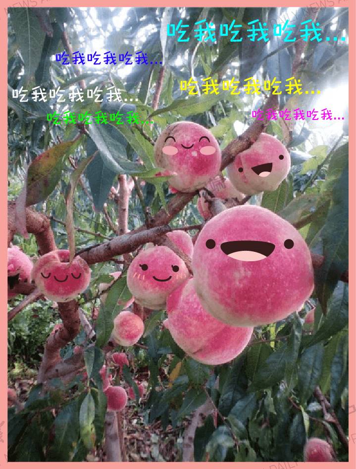 昆明冬季旅游攻略-昆明冬季旅游最佳去处(图2) 昆明冬季旅游攻略_昆明冬季旅游最佳去处_昆明冬天旅游攻略