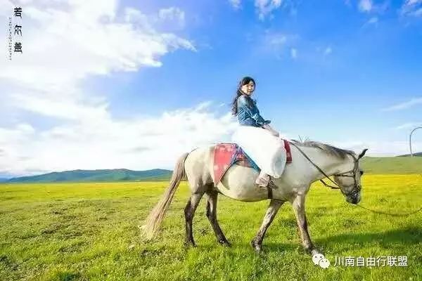 青海湖沙岛旅游攻略-青海岛攻略湖沙旅游路线(图4) 青海湖沙岛旅游攻略_青海湖沙岛景区_青海岛攻略湖沙旅游路线
