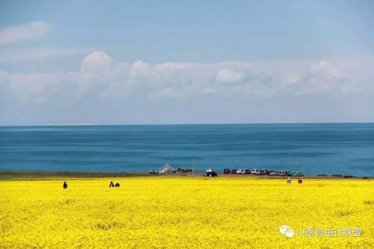 青海湖沙岛旅游攻略-青海岛攻略湖沙旅游路线(图5) 青海湖沙岛旅游攻略_青海岛攻略湖沙旅游路线_青海湖沙岛景区