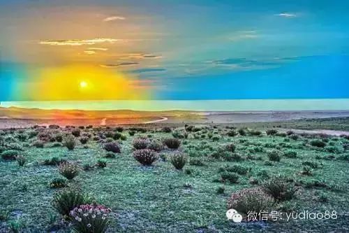 青海湖沙岛旅游攻略-青海岛攻略湖沙旅游景点(图11) 青海岛攻略湖沙旅游路线_青海岛攻略湖沙旅游景点_青海湖沙岛旅游攻略