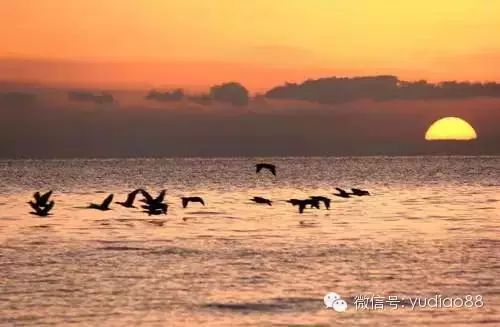 青海湖沙岛旅游攻略-青海岛攻略湖沙旅游景点(图4) 青海湖沙岛旅游攻略_青海岛攻略湖沙旅游景点_青海岛攻略湖沙旅游路线