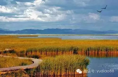 青海湖沙岛旅游攻略-青海岛攻略湖沙旅游景点(图9) 青海湖沙岛旅游攻略_青海岛攻略湖沙旅游路线_青海岛攻略湖沙旅游景点